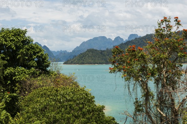 Lake with jungle and rainforest and steep mountains, Cheow Lan Lake, Khao Sok National Park, Phang Nga, Surat Thani, Thailand