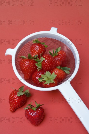 Strawberries in a colander on a red background, Fragaria