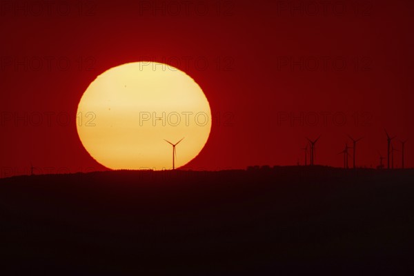 From the summit plateau of the Großer Feldberg in the Taunus mountains, you can watch the sun set behind several wind turbines on the distant horizon, Hesse, Germany