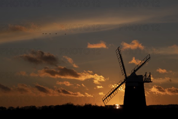 Windmill silhouette at sunset with a red sky and a skein or flock of Pink-footed geese (Anser brachyrhynchus) birds flying above, Burnham Ovary Staithe, Norfolk, England, United Kingdom