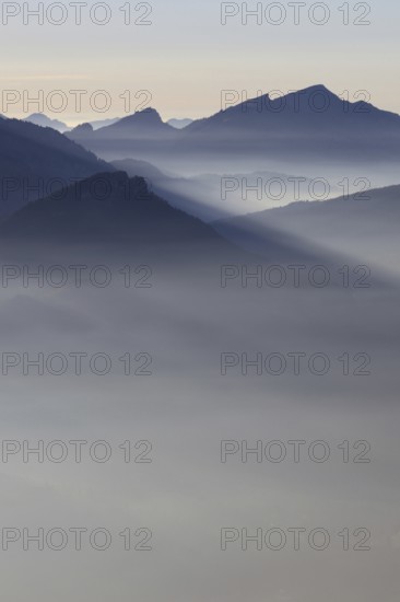 Mountain silhouettes... Alpine peaks and mountain ranges in the Bavarian Alps, light fog rises from the valleys, which creates an idyllic atmosphere in the light of the low sun, romantic view from Oberstdorf towards Kleinwalsertal, local nature, Bavaria, Allgäu, Allgäu Alps, Bavarian, Germany, Western Europe