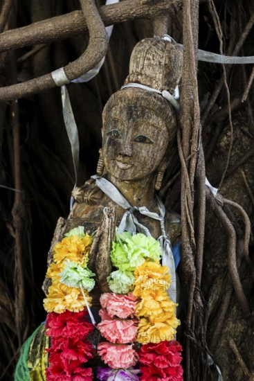 Bodhi tree, Ficus religiosa, wooden figure, Koh Phi Phi, Krabi, Andaman Sea, Thailand