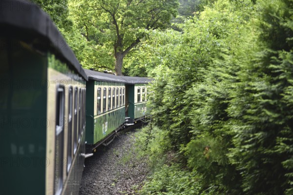 Raging Roland railway carriage on Rügen, Mecklenburg-Western Pomerania, Germany