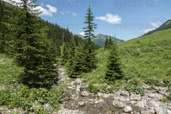 Bärgunttal, behind Walmendinger Horn, near Baad, Kleinwalsertal, Allgäu Alps, Vorarlberg, Austria