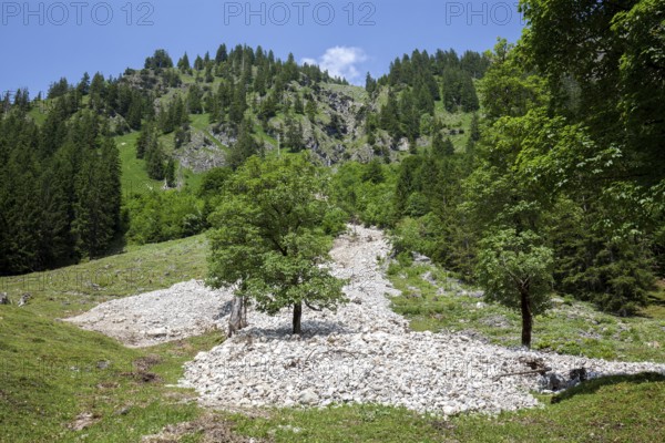 Landslide, Dietersbachtal, near Gerstruben, Allgäu Alps, Oberallgäu, Allgäu, Bavaria, Germany