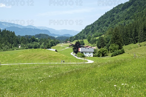 Dietersberg, Trettachtal, near Oberstdorf, Oberallgäu, Allgäu, Bavaria, Germany