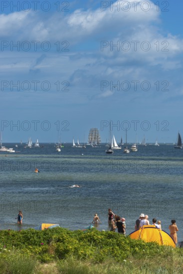 Windjammer parade 2025 on the Kiel Fjord at the end of Kiel Week, tall ships, three-master, sail training ship Gorch Fock, spectators, Falkenstein beach life, lighthouse, summer weather, sunshine, forest, Kiel, Schleswig-Holstein, Germany