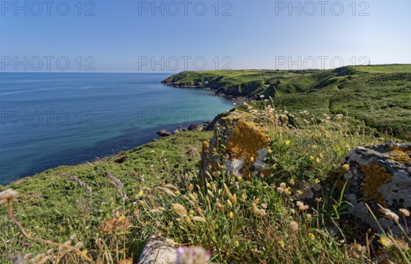 Landscape on the south-east coast near the southern tip of Cornwall on the English Channel. Cadgwith, Cornwall, South West England, Great Britain
