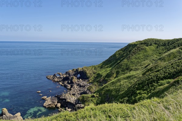 Rocky coast and landscape on the south-east coast near the southern tip of Cornwall on the English Channel. Cadgwith, Cornwall, South West England, Great Britain