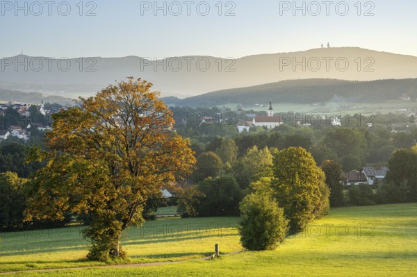 View from the pilgrimage church Weißenregen over Bad Kötzting to the Hohenbogen (Hoher Bogen) . In the centre right the parish church Mariä Himmelfahrt. In the morning. Bad Kötzting, District of Cham, Upper Palatinate, Bavarian Forest, Bavaria, Germany