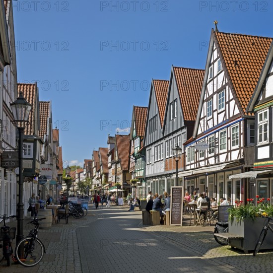 Lively pedestrian zone in the old town with many half-timbered houses, Celle, Lower Saxony, Germany