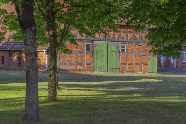 View through a chestnut tree onto a farm, Böhme, Heidekreis, Rethem Aller, Leine Aller Tal, Lower Saxony, Germany