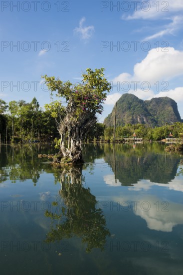 Lagoon, Klong Rud, Klong Nam Sai, Ao Nang, Krabi, Thailand
