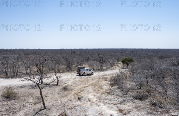 Off-road vehicle between dry bushes on a sandy track, Makgadikgadi salt pans, Botswana