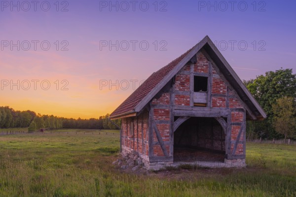 View of an open half-timbered barn standing on a pasture in the sunset, meadow, spring, awakening, new, colours, season, landscape photo, nature photo, flora, fauna, landscape format, pasture, grasses, lowland, sky, clouds, Stöckse, Steimbke, Nienburg Weser, Lower Saxony, Germany