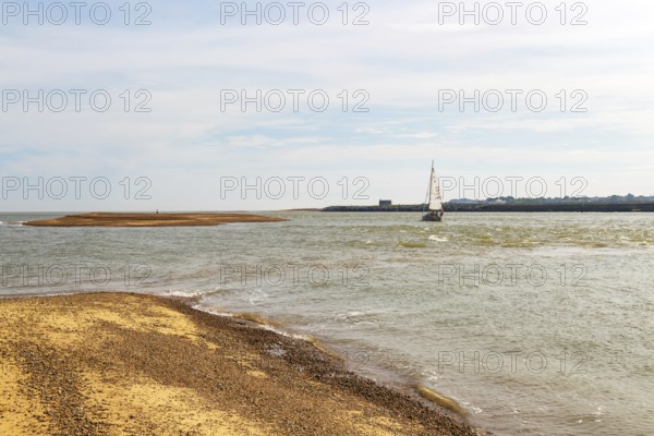 Sailing boat yacht at mouth of River Deben estuary, Bawdsey Quay, Suffolk, England, UK