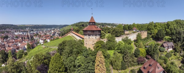 Aerial view, panorama of the city of Esslingen am Neckar with Esslingen Castle, Dicker Turm, Seilergang and vineyard, district of Esslingen, Baden-Württemberg, Germany