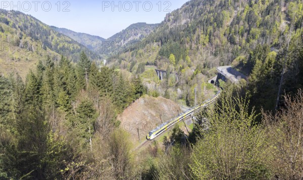 View of the famous, narrow, so-called Höllenbach valley with the B31 main road and railway line, the so-called Höllentalbahn with Ravennaviaduct, southern Black Forest, Baden-Württemberg, Germany