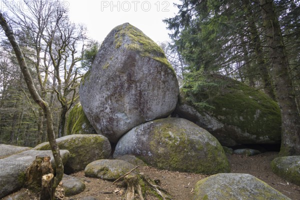 Granite rock Günterfelsen near the source of the Danube, Furtwangen in the Black Forest, Baden-Württemberg, Germany