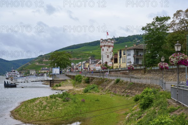 Riverside view with buildings, an eagle tower and green hills in the background, Rüdesheim am Rhein, Rhine Valley, Rheingau-Taunus-Kreis, Hesse, Germany