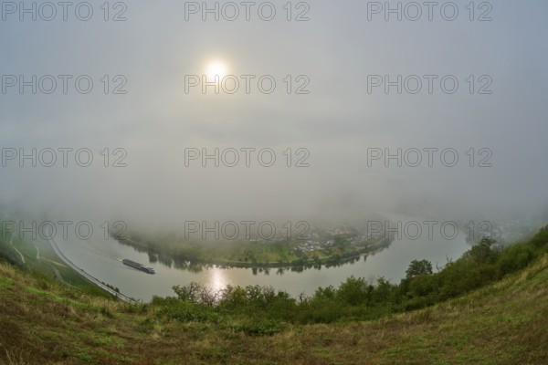A foggy river is illuminated by the sun penetrating through the morning mist, summer, Rhine bend Boppard, Gedeonseck, Boppard, Rhine, Rhine-Hunsrück district, Rhineland-Palatinate, Germany