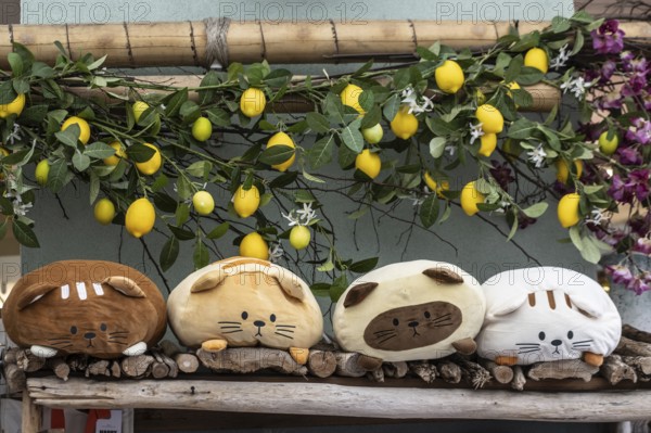 Cat cushion, arts and crafts, Veneto, Italy