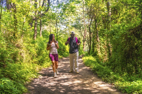 Hikers with backpacks strolling along a scenic trail, surrounded by lush green trees and vibrant foliage in a peaceful forest setting