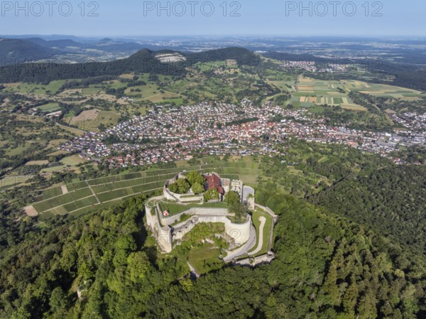 Luftbild von der hochmittelalterlichen Burgruine, Höhenburg Hohenneuffen am Albtrauf mit der Stadt Neuffen, Landkreis Esslingen, Schwäbische Alb, Baden-Württemberg, Deutschland