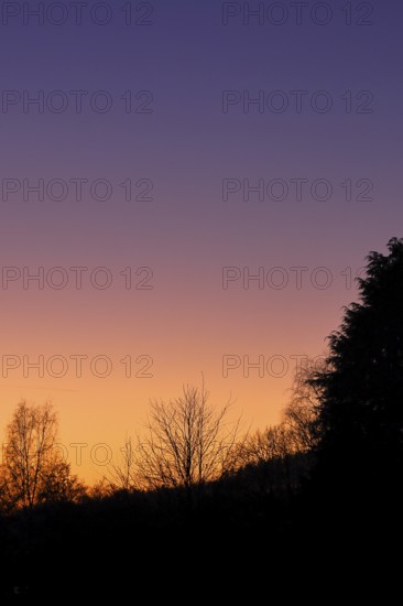 Sunset with beautiful red sky and forest silhouette, silhouette photograph, Wilnsdorf, North Rhine-Westphalia, Germany