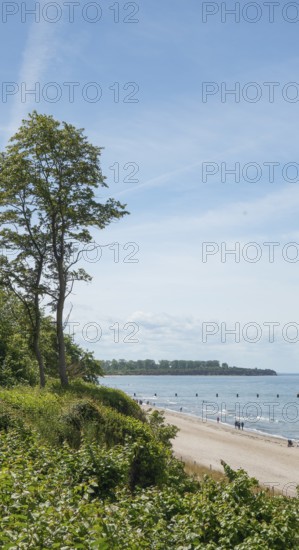 Steep coast, natural sandy beach, Baltic seaside resort of Rerik, Baltic Sea, Rostock district, Mecklenburg-Western Pomerania, Germany