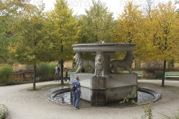 Lion fountain in the inner courtyard of Hohenschwangau Castle near Füssen, Allgäu, Bavaria, Germany, Allgäu, Bavaria, Germany