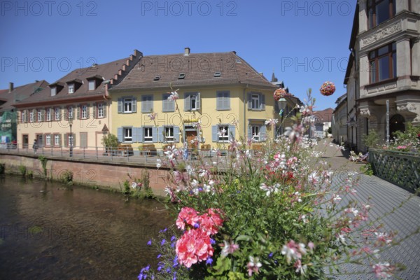 Half-timbered houses on the Alb, pedestrian bridge and flower decoration, Ettlingen, Black Forest, Northern Black Forest, Baden-Württemberg, Germany