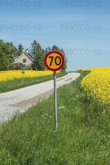 Traffic sign, speed limit 70 kmh, at country road though field of flowering rapeseed in Skurup municipality, Skåne county, Sweden, Scandinavia