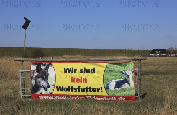 Protest poster of the shepherds in Eiderstedt on the North Sea against the settlement of wolves, we are not wolf food. Wolf-free Eiderstedt, lamb, wolf, rubber boots as a protest on a pole