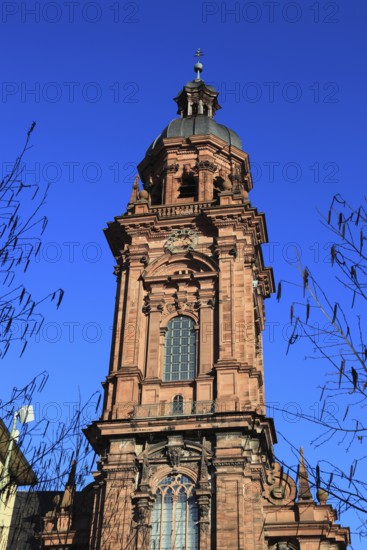 Tower of the new church. Today the building is used as an assembly hall and banqueting hall of the Julius Maximilian University, Würzburg, Lower Franconia, Bavaria, Germany