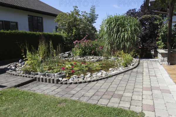 Garden pond in midsummer, Allgäu, Bavaria, Germany, Allgäu, Bavaria, Germany