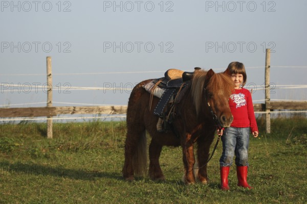 Girl with Shetland pony, Allgäu, Bavaria, Germany, Allgäu, Bavaria, Germany