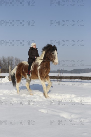 Girl riding a Crilollo gelding bareback in the snow, Allgäu, Bavaria, Germany, Allgäu, Bavaria, Germany