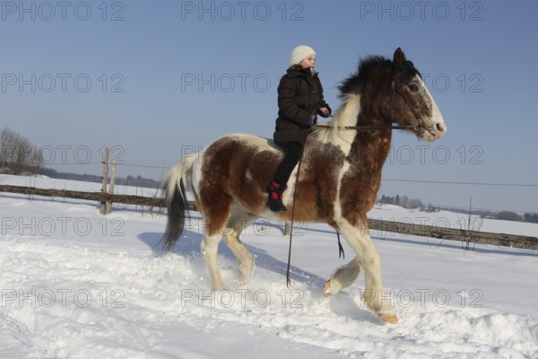Girl riding a Crilollo gelding bareback in the snow, Allgäu, Bavaria, Germany, Allgäu, Bavaria, Germany