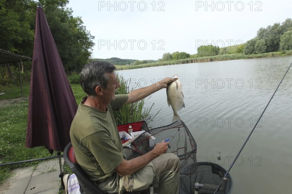 Fisherman, angler with caught whitefish (Leuciscinae) Southern Hungary, Hungary, Southern Hungary, Hungary