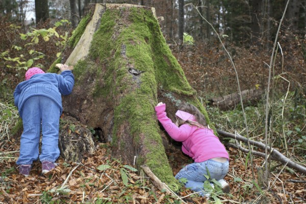 Girls discovering nature, children in nature, love of nature, Allgäu, Bavaria, Germany, Allgäu, Bavaria, Germany