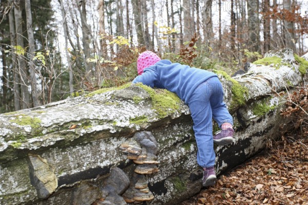 Girl discovers nature, Child in nature, Love of nature, Allgäu, Bavaria, Germany, Allgäu, Bavaria, Germany