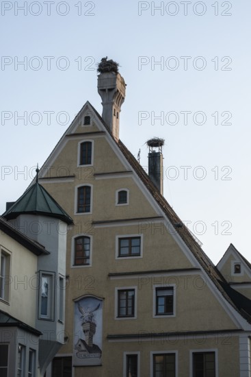 White storks (Ciconia ciconia) on the stork house, Memmingen, Bavaria, Germany