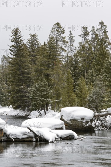 Snow on the Firehole River... Yellowstone National Park, North America, impressively beautiful river in the southwest of Yellowstone National Park, United States in deep winter with high snow conditions, nature in Yellowstone NP, Wyoming, United States of America