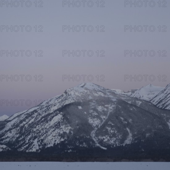 In the freezing cold night... Rocky Mountains (Wyoming), shortly in front of dawn, view of the Grand Teton Range against a soft pink night sky, idyllic winter atmosphere, landscape United States, USA, Yellowstone, Wyoming, North America, United States of America