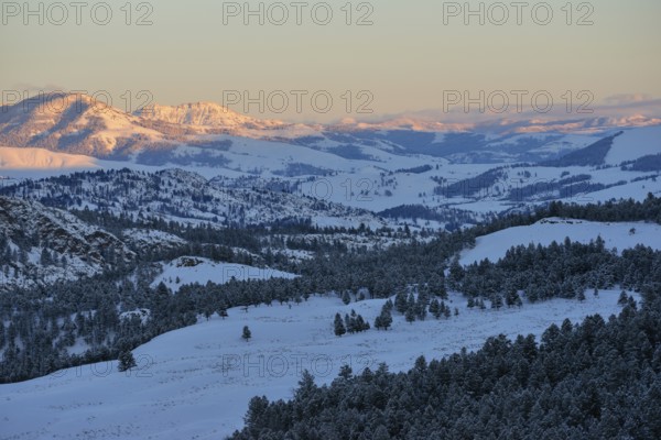 View of wide, gentle valleys... Yellowstone National Park (North America) in winter, view into the snow-covered Caldeira, into the wide valley basin, habitat of numerous endangered animal species, including wolf and bison, nature in Yellowstone NP, Wyoming, North America, United States of America