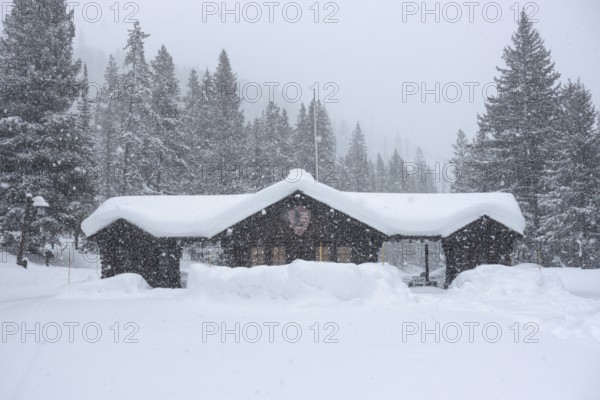 Yellowstone National Park, North America in winter, heavy snowfall at the north-east entrance to the park, Silver Gate, Montana, USA, Yellowstone, North America, United States of America