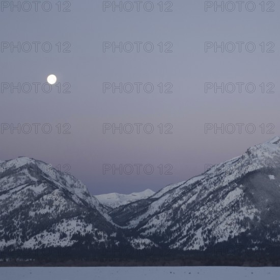 Moonset... Rocky Mountains (Wyoming, USA), full moon in ice-cold night over the Grand Teton Range in front of a soft pink night sky, idyllic winter atmosphere, landscape United States, Yellowstone, Wyoming, North America, United States of America