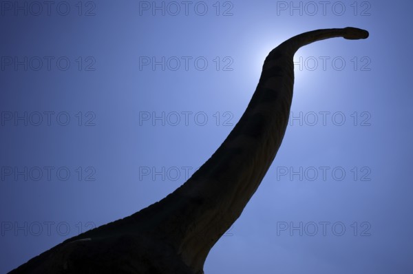 Replica, model of a Brachiosaurus, backlight, silhouette, in front of Urwelt-Museum Hauff, Museum, Holzmaden, Baden-Württemberg, Germany