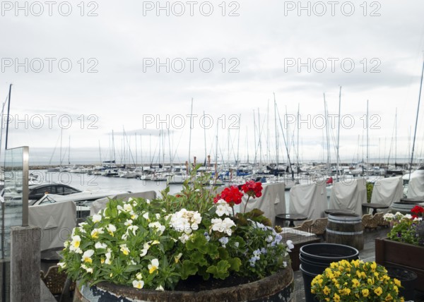 Boat harbour, Baltic Sea, Baltic resort, Kühlungsborn-Ost, Kühlungsborn, Rostock district, Mecklenburg-Western Pomerania, Germany